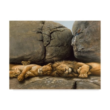 Harro Maass 'Two Lions Head To Head' Canvas Art,18x24